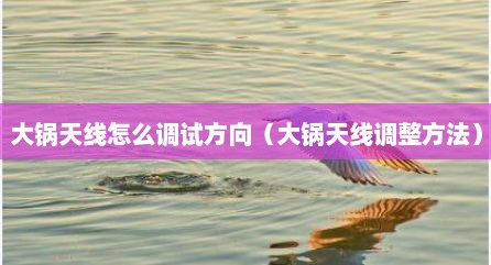 大锅天线怎么调试方向（大锅天线调整方法）
