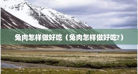兔肉怎样做好吃（兔肉怎样做好吃?）