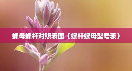 螺母螺杆对照表图（螺杆螺母型号表）
