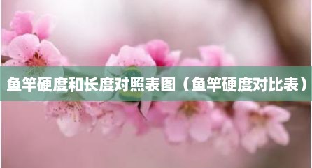 鱼竿硬度和长度对照表图（鱼竿硬度对比表）