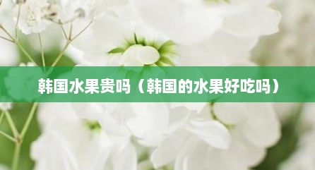 韩国水果贵吗（韩国的水果好吃吗）