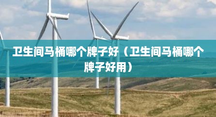 卫生间马桶哪个牌子好（卫生间马桶哪个牌子好用）