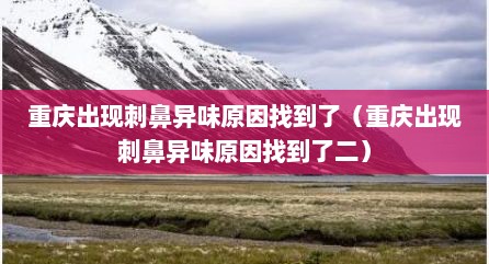 重庆出现刺鼻异味原因找到了（重庆出现刺鼻异味原因找到了二）