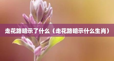 走花路暗示了什么（走花路暗示什么生肖）