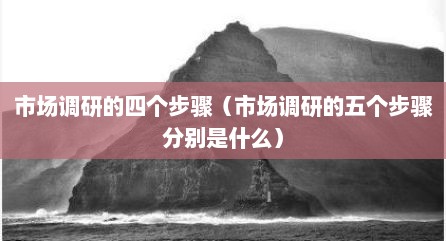市场调研的四个步骤（市场调研的五个步骤分别是什么）