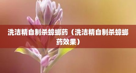 洗洁精自制杀蟑螂药（洗洁精自制杀蟑螂药效果）