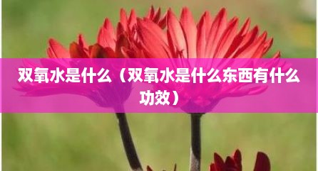 双氧水是什么（双氧水是什么东西有什么功效）