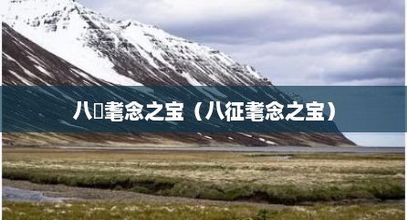 八徴耄念之宝（八征耄念之宝）