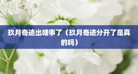 玖月奇迹出啥事了（玖月奇迹分开了是真的吗）