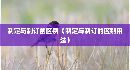 制定与制订的区别（制定与制订的区别用法）