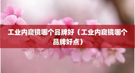 工业内窥镜哪个品牌好（工业内窥镜哪个品牌好点）