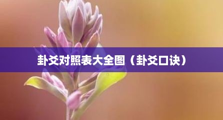 卦爻对照表大全图（卦爻口诀）