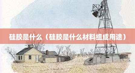 硅胶是什么（硅胶是什么材料组成用途）