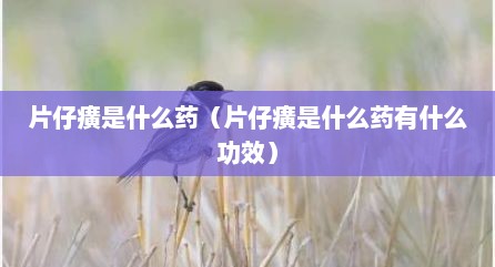 片仔癀是什么药（片仔癀是什么药有什么功效）