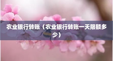 农业银行转账（农业银行转账一天限额多少）