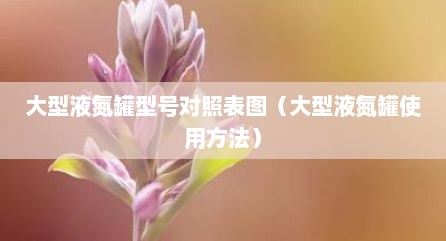 大型液氮罐型号对照表图（大型液氮罐使用方法）