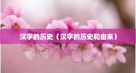 汉字的历史（汉字的历史和由来）