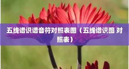 五线谱识谱音符对照表图（五线谱识图 对照表）