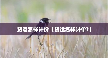 货运怎样计价（货运怎样计价?）