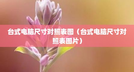 台式电脑尺寸对照表图（台式电脑尺寸对照表图片）