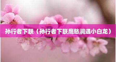 孙行者下联（孙行者下联鹰愁涧遇小白龙）