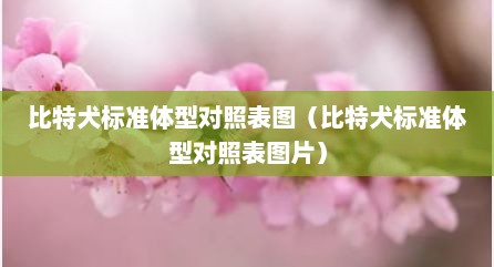 比特犬标准体型对照表图（比特犬标准体型对照表图片）