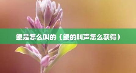 鲲是怎么叫的（鲲的叫声怎么获得）