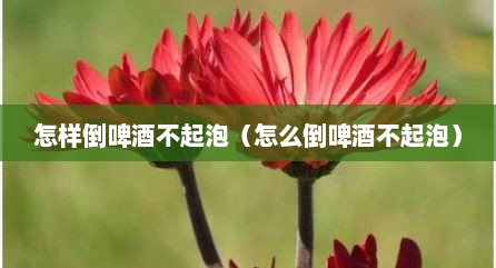 怎样倒啤酒不起泡（怎么倒啤酒不起泡）