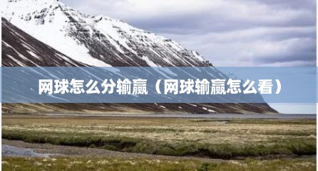 网球怎么分输赢（网球输赢怎么看）