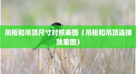 吊柜和吊顶尺寸对照表图（吊柜和吊顶连接效果图）