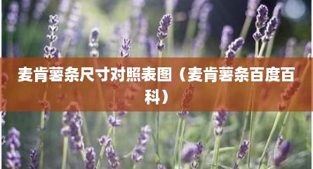 麦肯薯条尺寸对照表图（麦肯薯条百度百科）