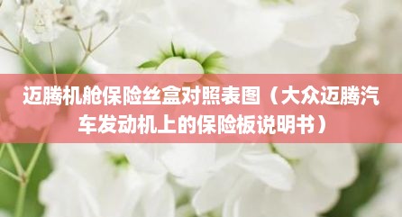迈腾机舱保险丝盒对照表图（大众迈腾汽车发动机上的保险板说明书）