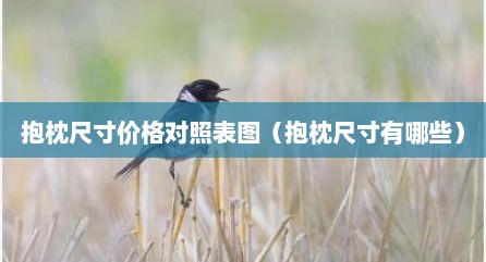 抱枕尺寸价格对照表图（抱枕尺寸有哪些）