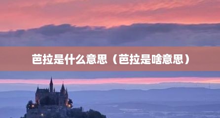 芭拉是什么意思（芭拉是啥意思）