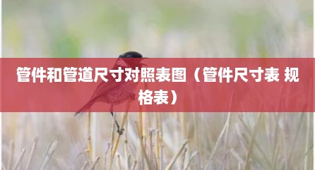 管件和管道尺寸对照表图（管件尺寸表 规格表）