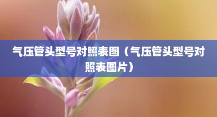 气压管头型号对照表图（气压管头型号对照表图片）