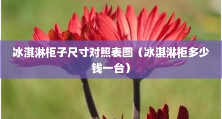 冰淇淋柜子尺寸对照表图（冰淇淋柜多少钱一台）