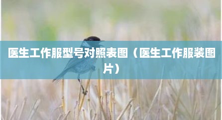 医生工作服型号对照表图（医生工作服装图片）