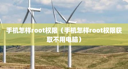 手机怎样root权限（手机怎样root权限获取不用电脑）