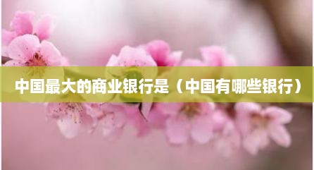 中国最大的商业银行是（中国有哪些银行）