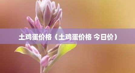 土鸡蛋价格（土鸡蛋价格 今日价）