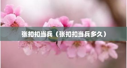 张扣扣当兵（张扣扣当兵多久）