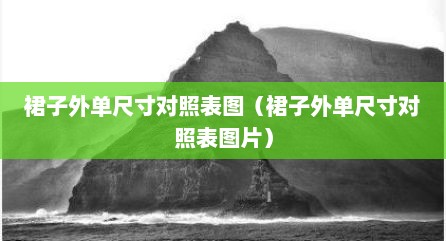 裙子外单尺寸对照表图（裙子外单尺寸对照表图片）