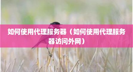 茹何使用代理服务器（茹何使用代理服务器访问外网）