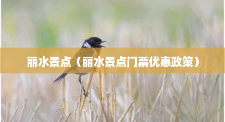 丽水景点（丽水景点门票优惠政策）