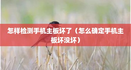 怎样检测手机主板坏了（怎么确定手机主板坏没坏）