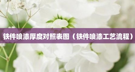 铁件喷漆厚度对照表图（铁件喷漆工艺流程）
