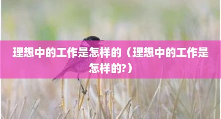 理想中的工作是怎样的（理想中的工作是怎样的?）