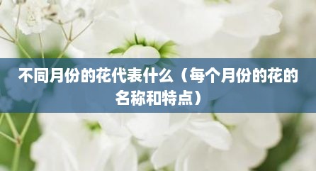 不同月份的花代表什么（每个月份的花的名称和特点）