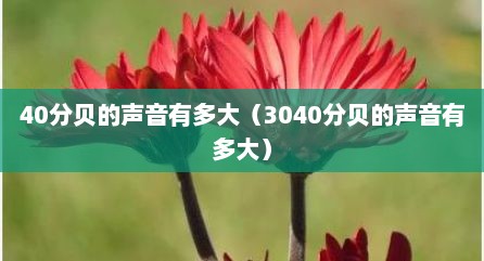 40分贝的声音有多大（3040分贝的声音有多大）